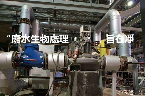 “廢水生物處理，旨在凈化水源，守護(hù)碧水藍(lán)天”